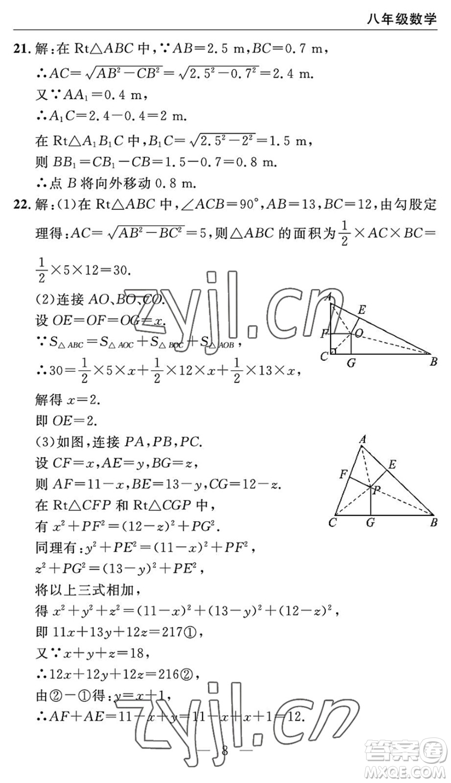 長(zhǎng)江少年兒童出版社2022智慧課堂自主評(píng)價(jià)八年級(jí)數(shù)學(xué)下冊(cè)通用版宜昌專(zhuān)版答案