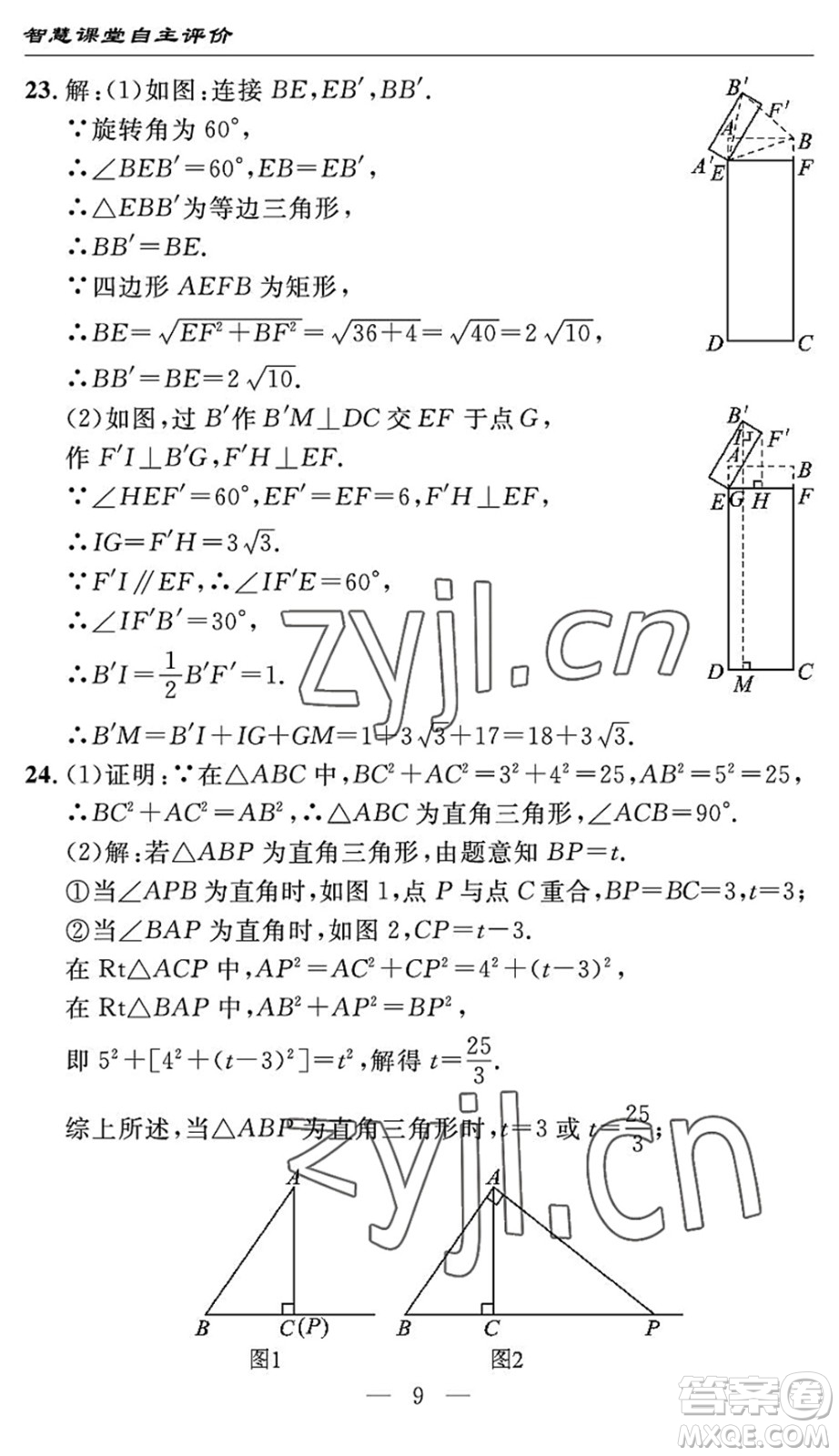 長(zhǎng)江少年兒童出版社2022智慧課堂自主評(píng)價(jià)八年級(jí)數(shù)學(xué)下冊(cè)通用版宜昌專(zhuān)版答案