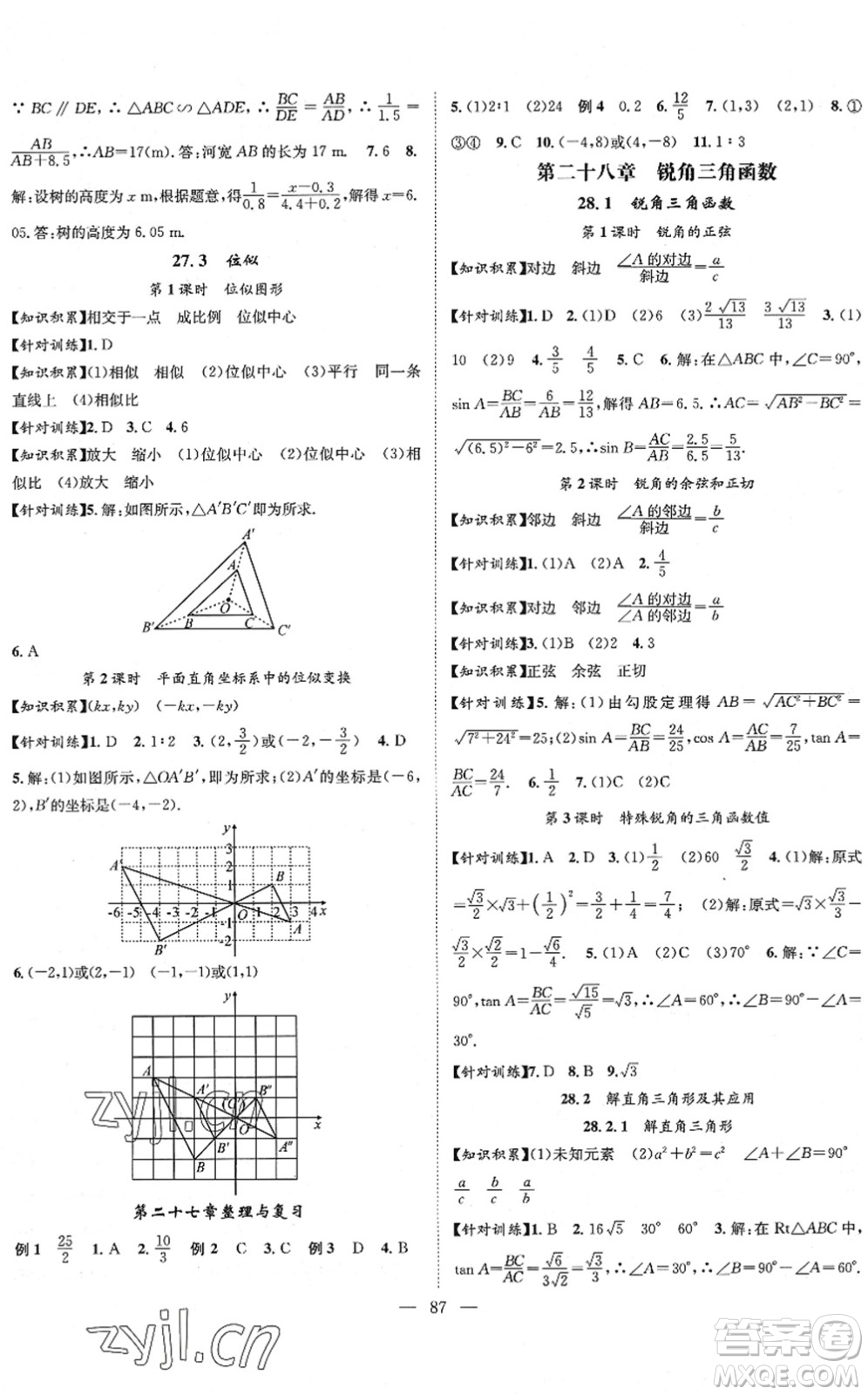 長(zhǎng)江少年兒童出版社2022智慧課堂創(chuàng)新作業(yè)九年級(jí)數(shù)學(xué)下冊(cè)人教版答案