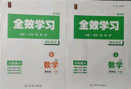 光明日報(bào)出版社2022全效學(xué)習(xí)課時(shí)提優(yōu)八年級下冊數(shù)學(xué)浙教版精華版參考答案