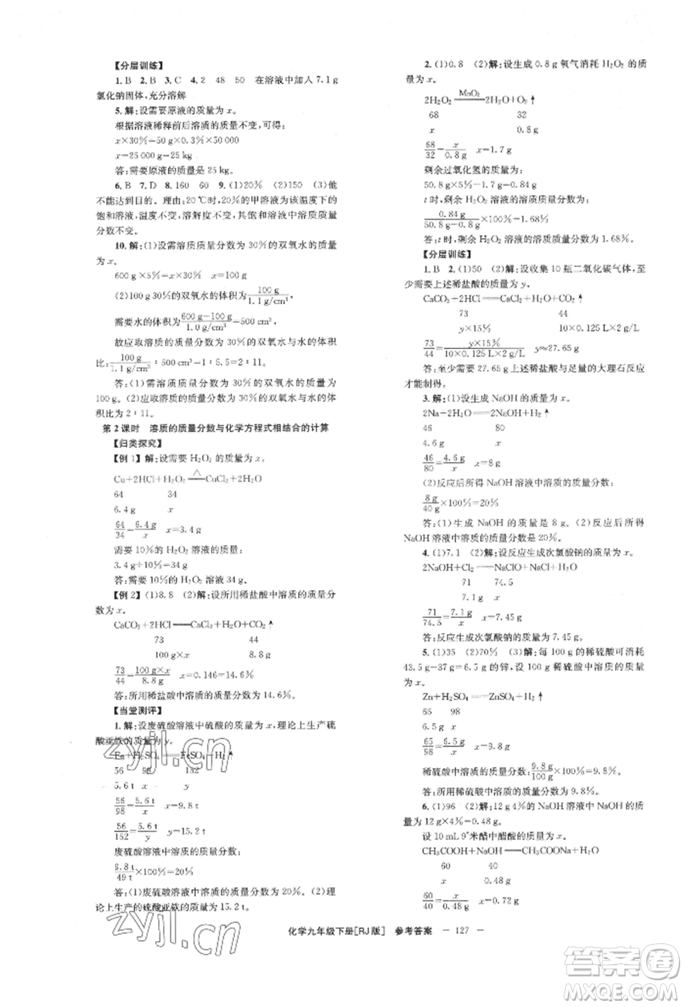 湖南教育出版社2022全效學(xué)習(xí)同步學(xué)練測(cè)九年級(jí)下冊(cè)化學(xué)人教版參考答案