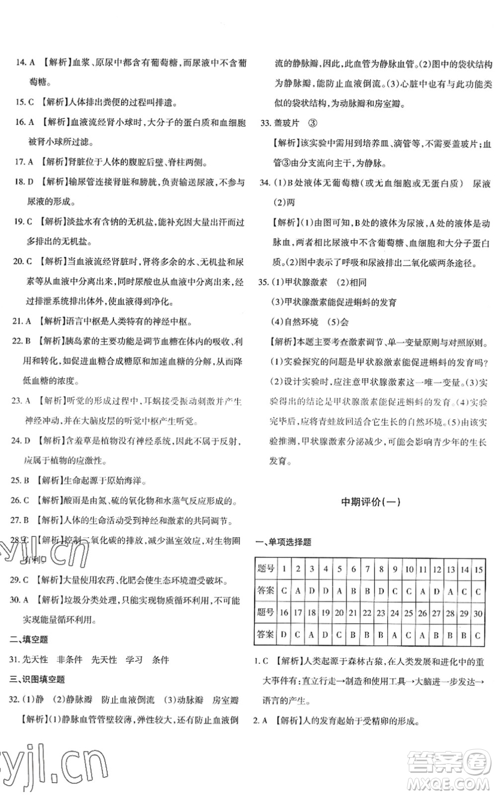 新疆青少年出版社2022優(yōu)學(xué)1+1評(píng)價(jià)與測(cè)試七年級(jí)生物下冊(cè)人教版答案