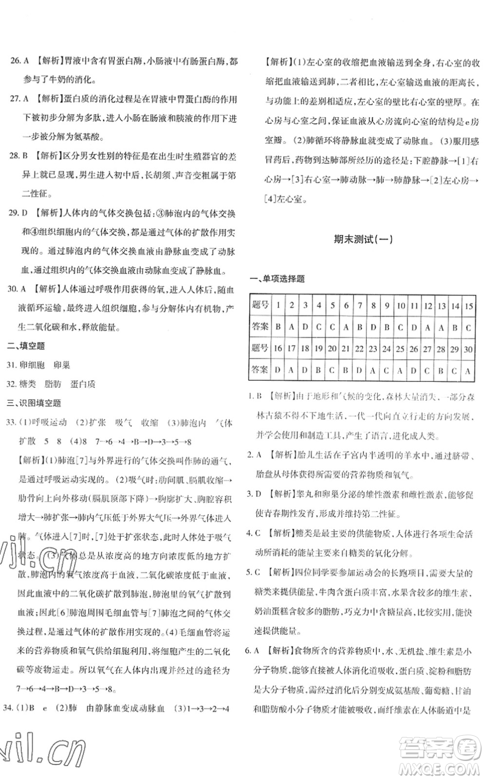 新疆青少年出版社2022優(yōu)學(xué)1+1評(píng)價(jià)與測(cè)試七年級(jí)生物下冊(cè)人教版答案