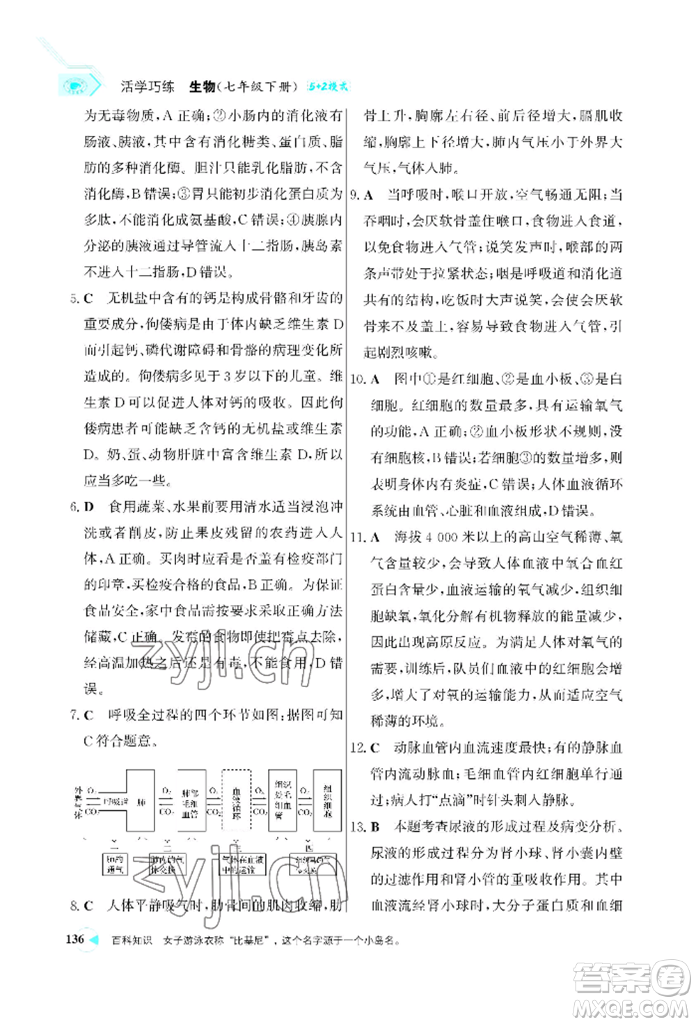 浙江科學(xué)技術(shù)出版社2022世紀金榜活學(xué)巧練七年級下冊生物人教版參考答案