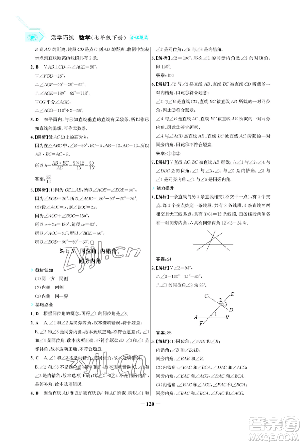 浙江科學(xué)技術(shù)出版社2022世紀(jì)金榜活學(xué)巧練七年級(jí)下冊(cè)數(shù)學(xué)人教版參考答案