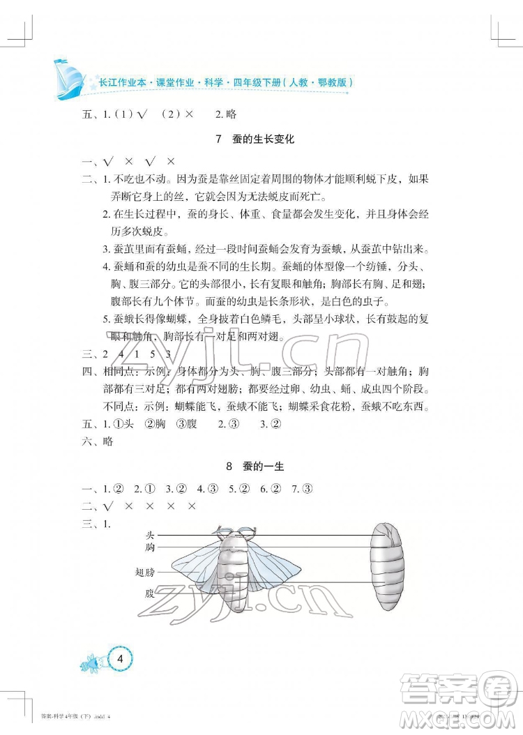 湖北教育出版社2022長江作業(yè)本課堂作業(yè)科學(xué)四年級(jí)下冊(cè)鄂教版答案