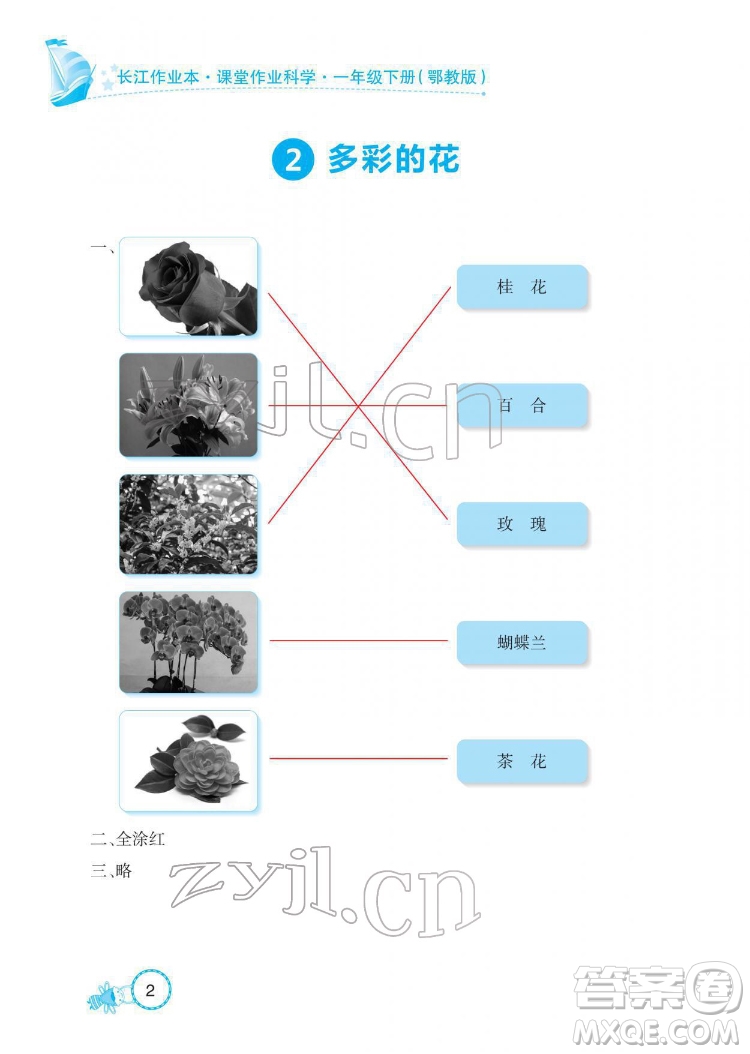 湖北教育出版社2022長江作業(yè)本課堂作業(yè)科學一年級下冊鄂教版答案