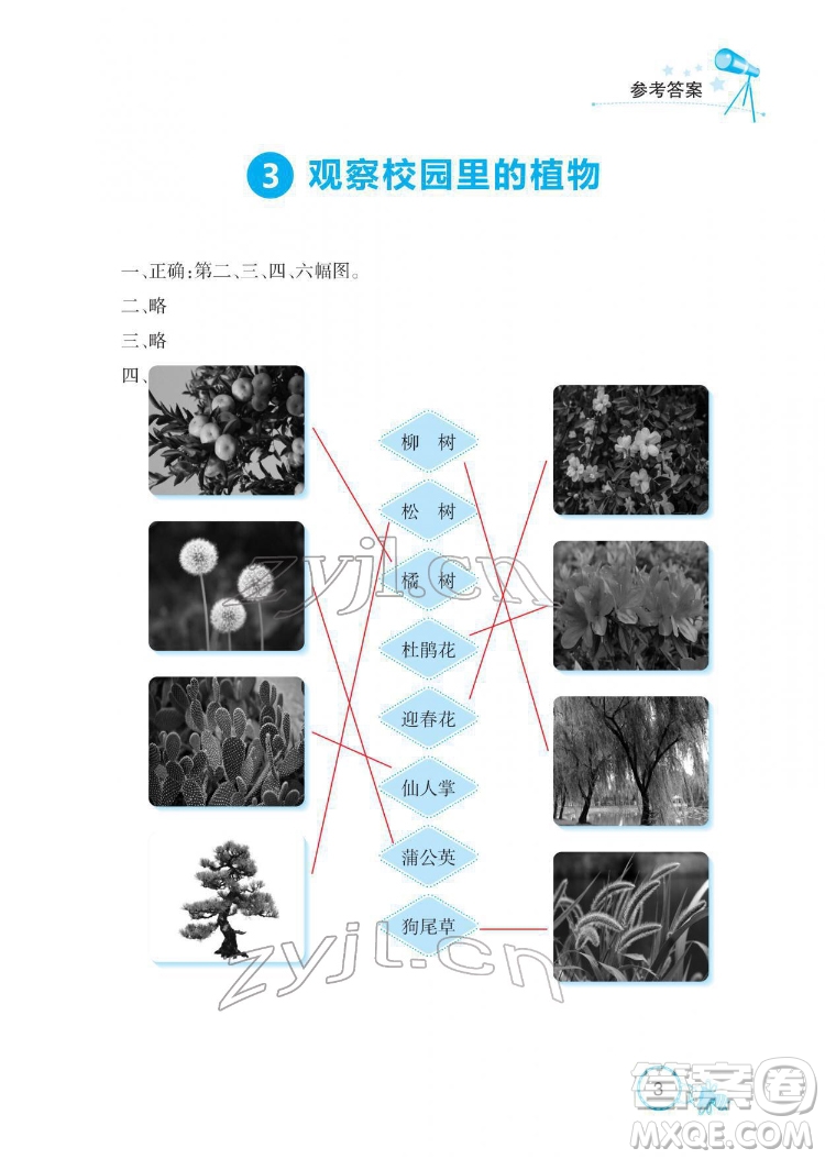 湖北教育出版社2022長江作業(yè)本課堂作業(yè)科學一年級下冊鄂教版答案