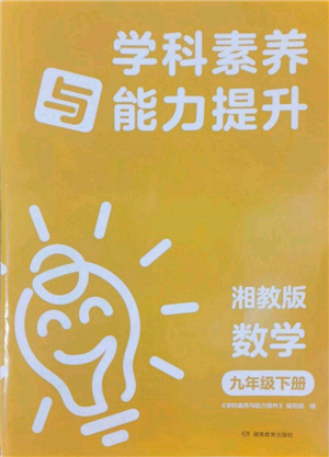 湖南教育出版社2022學(xué)科素養(yǎng)與能力提升九年級下冊數(shù)學(xué)人教版參考答案