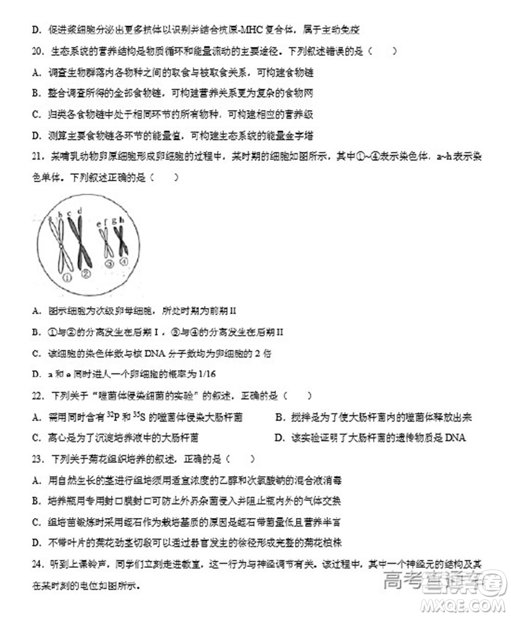 2022年高考真題浙江卷生物試題及答案解析