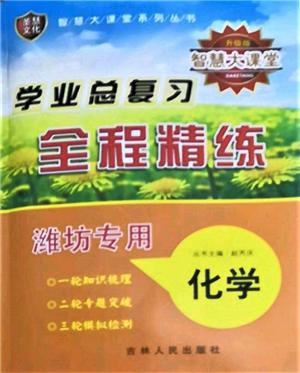 吉林人民出版社2022智慧大課堂學年總復習全程精練備戰(zhàn)中考化學通用版濰坊專版參考答案