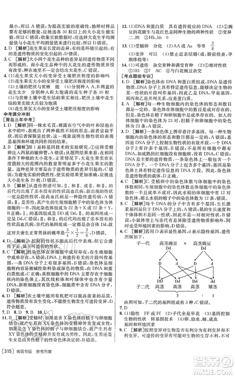 新疆青少年出版社2022升學(xué)錦囊九年級生物青島專版答案