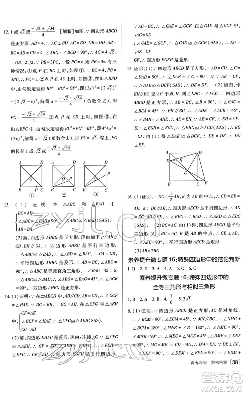 新疆青少年出版社2022升學(xué)錦囊九年級數(shù)學(xué)青島專版答案