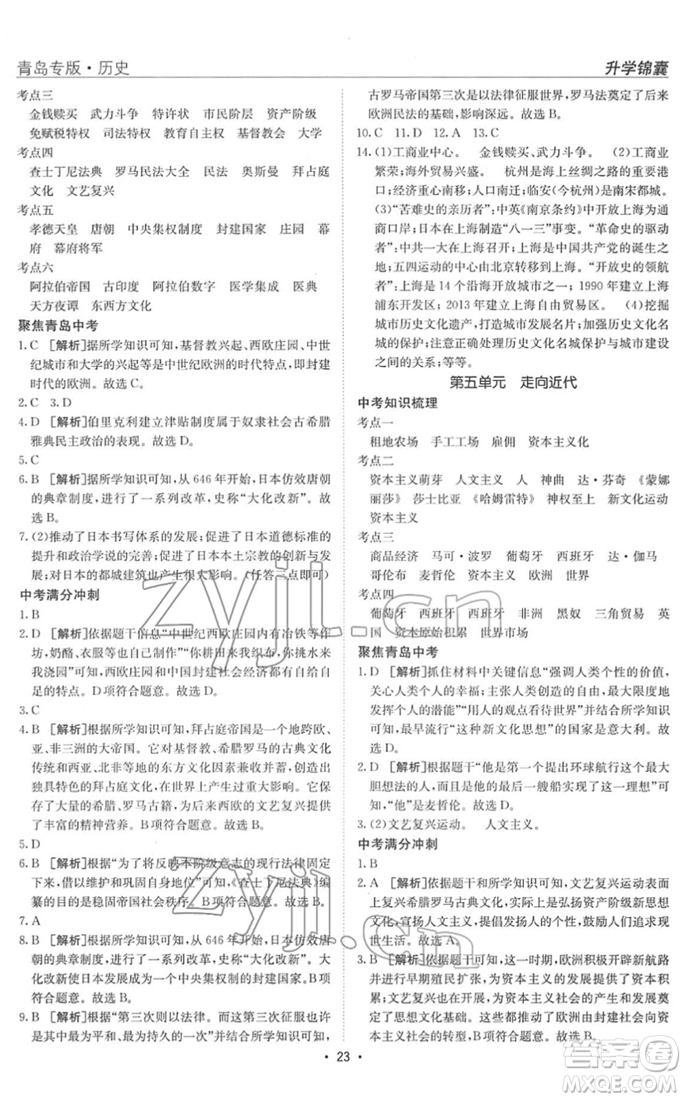 新疆青少年出版社2022升學(xué)錦囊九年級歷史青島專版答案