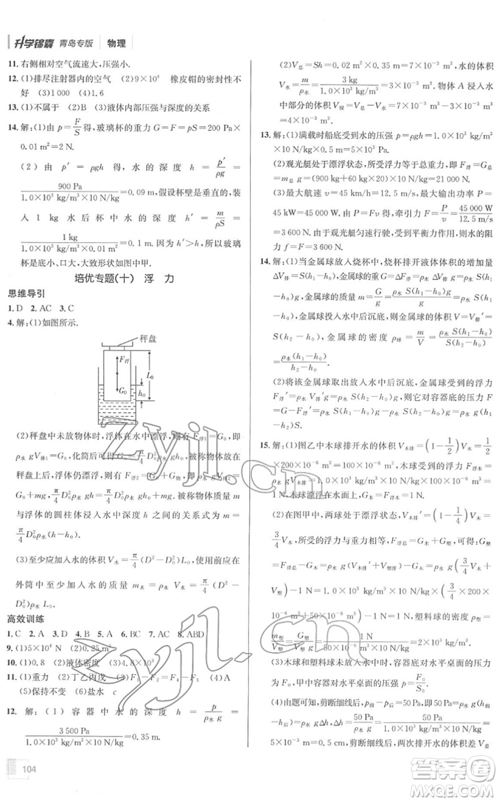 新疆青少年出版社2022升學(xué)錦囊九年級(jí)物理青島專版答案