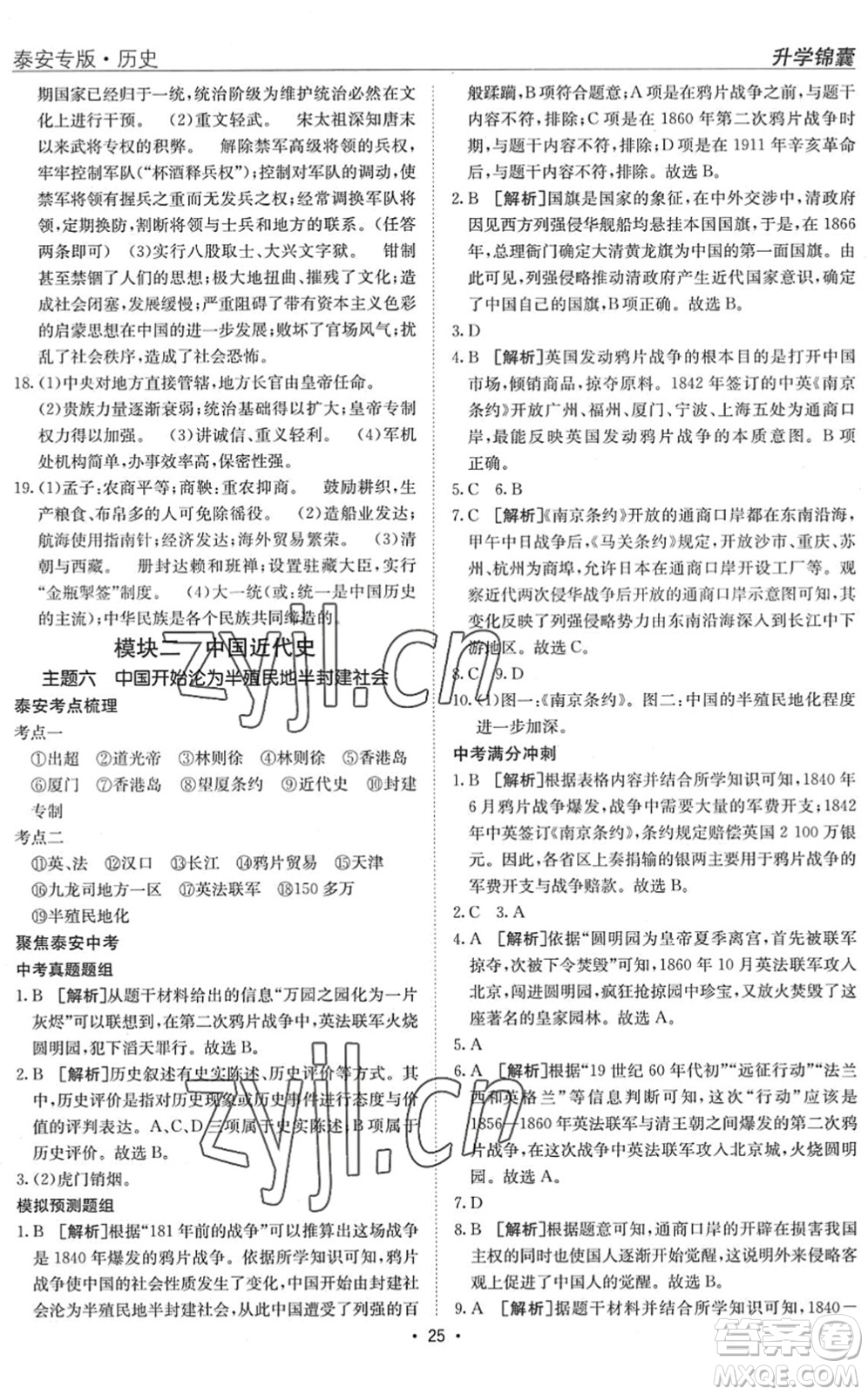 新疆青少年出版社2022升學(xué)錦囊九年級(jí)歷史泰安專(zhuān)版答案