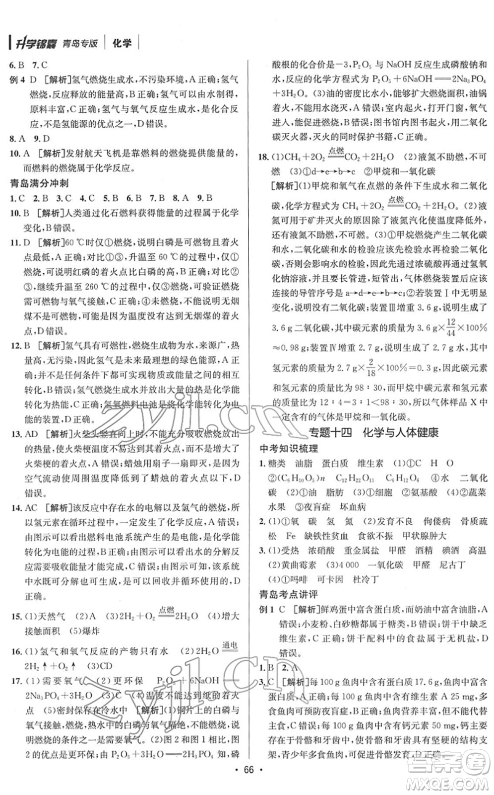 新疆青少年出版社2022升學(xué)錦囊九年級化學(xué)青島專版答案