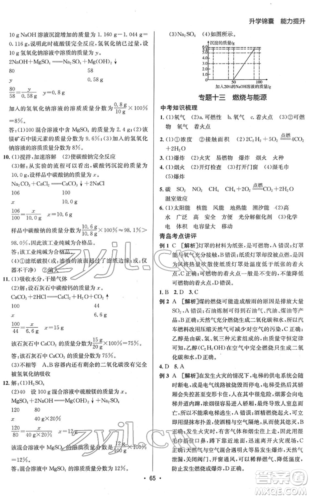 新疆青少年出版社2022升學(xué)錦囊九年級化學(xué)青島專版答案