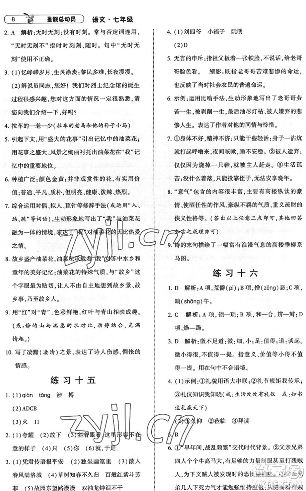 寧夏人民教育出版社2022經(jīng)綸學典暑假總動員七年級語文人教版答案