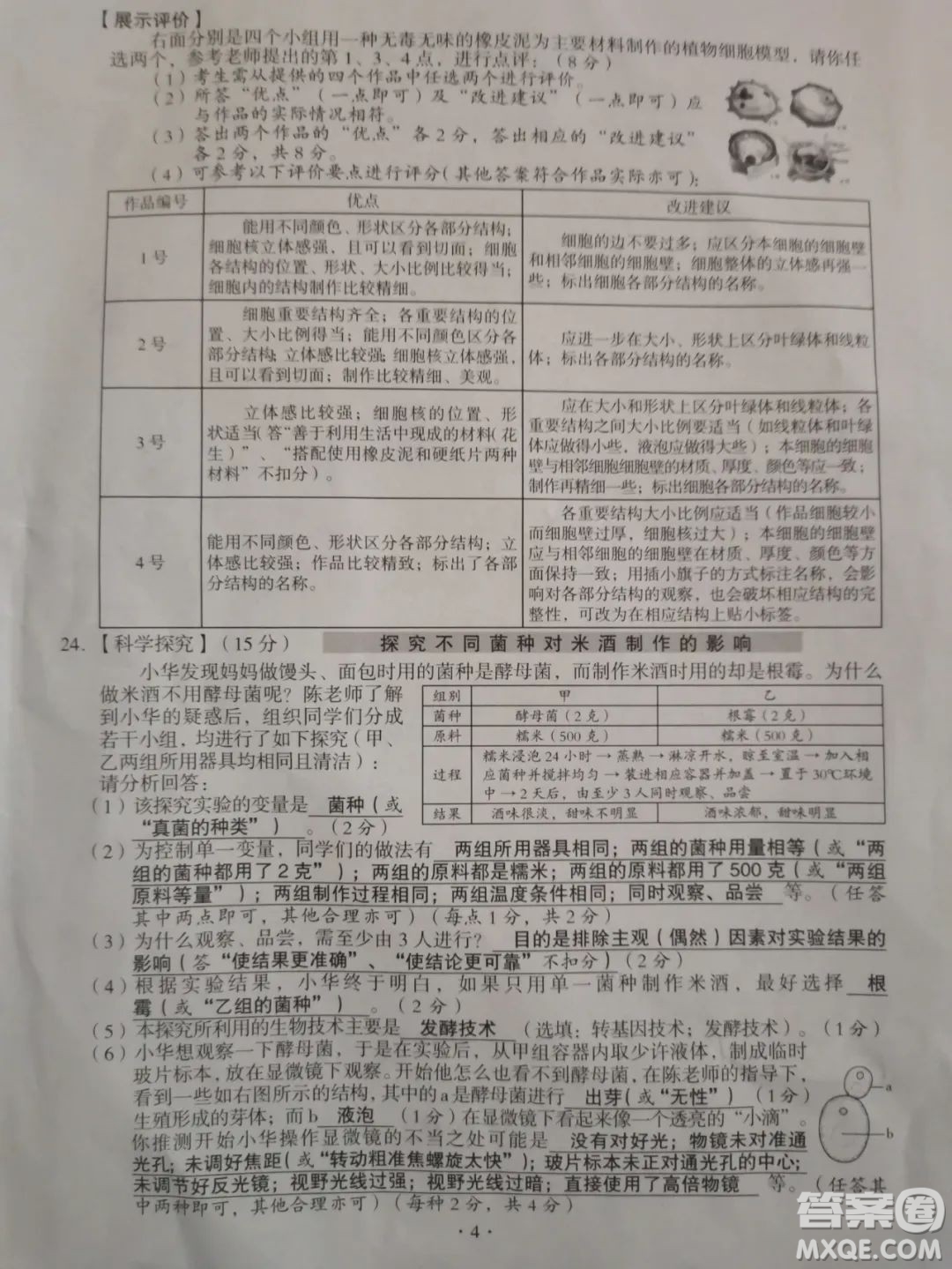 2022年山西中考真題晉中版生物學(xué)試題及答案