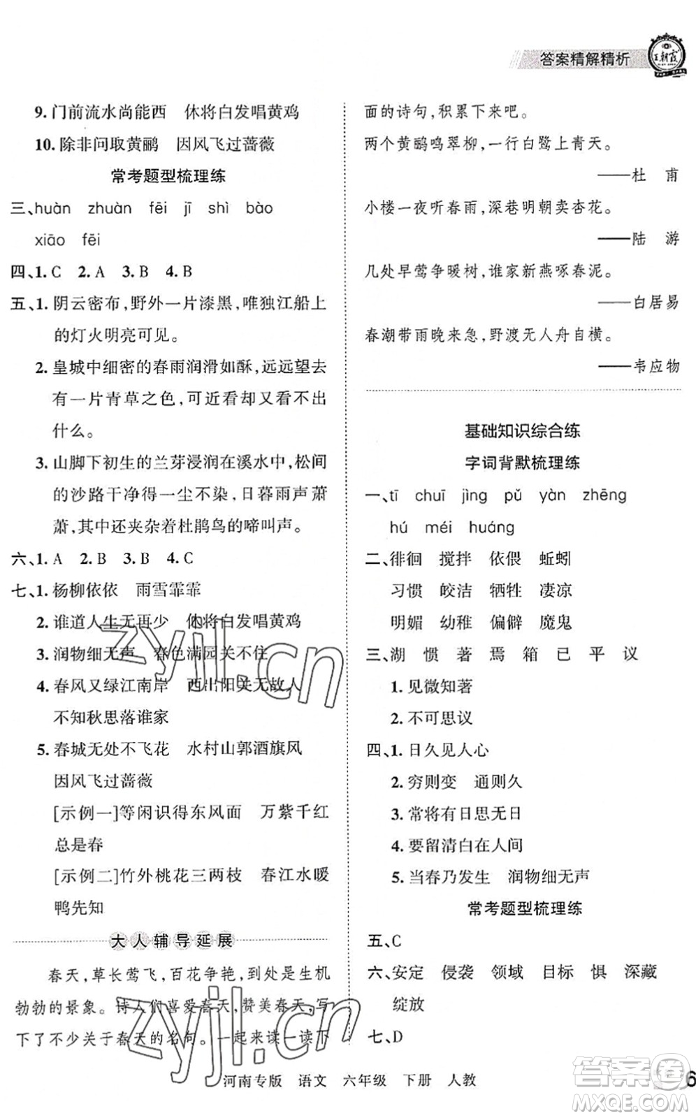 江西人民出版社2022王朝霞各地期末試卷精選六年級(jí)語文下冊(cè)人教版河南專版答案