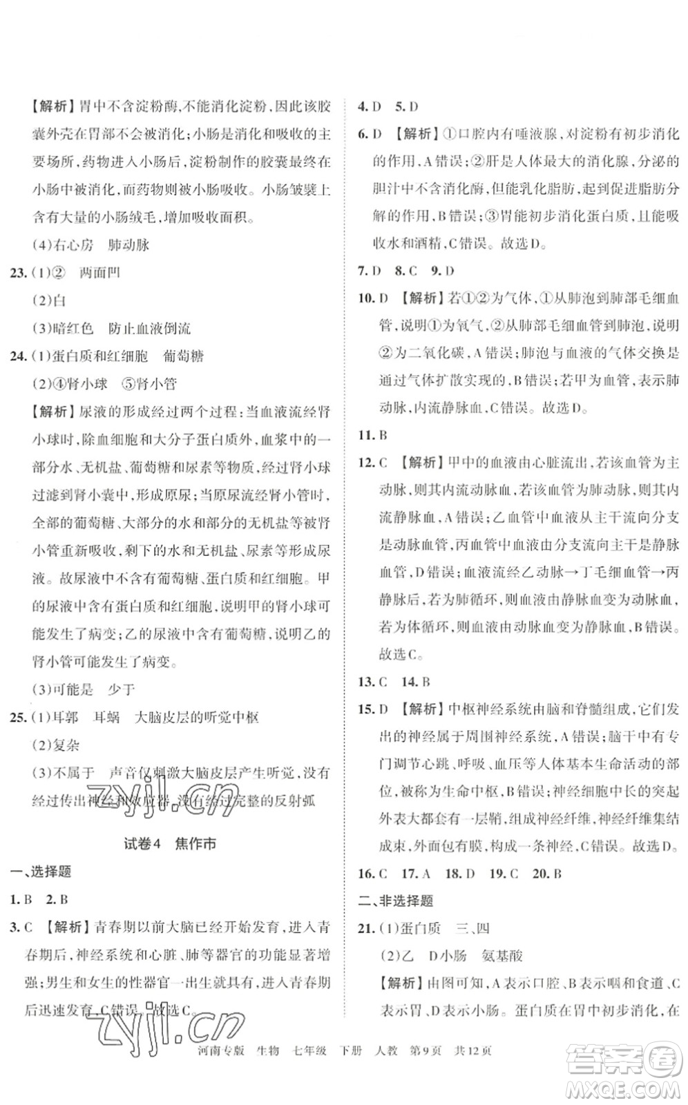 江西人民出版社2022王朝霞各地期末試卷精選七年級(jí)生物下冊(cè)人教版河南專版答案