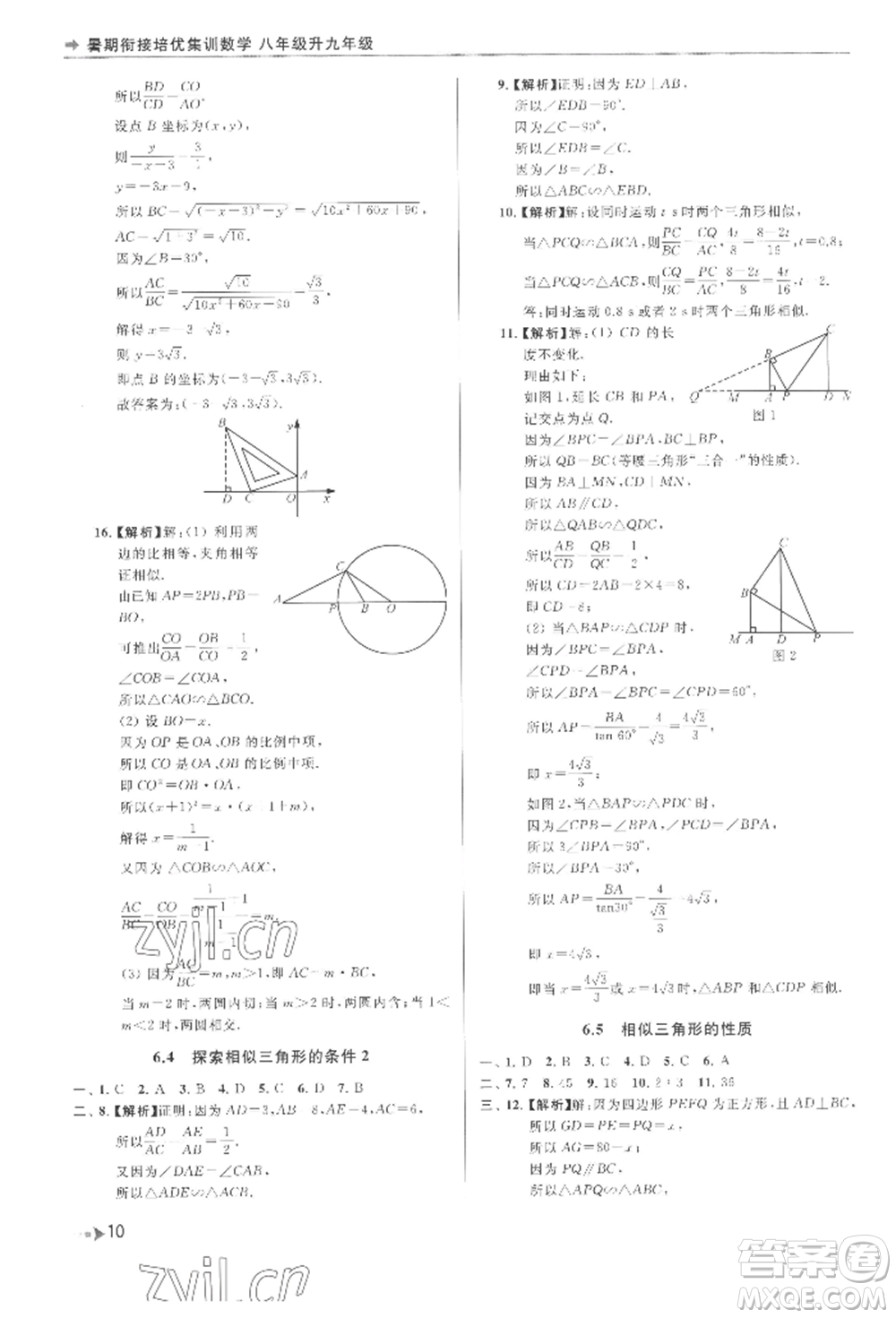 南京出版社2022暑期銜接培優(yōu)集訓(xùn)八升九數(shù)學(xué)通用版參考答案