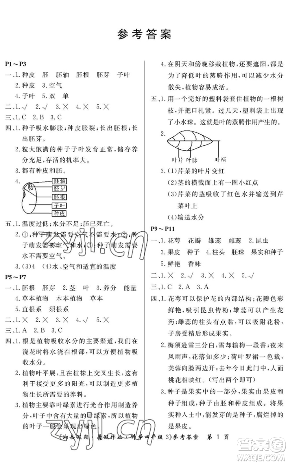 湖南大學(xué)出版社2022湘岳假期暑假作業(yè)四年級(jí)科學(xué)教科版答案