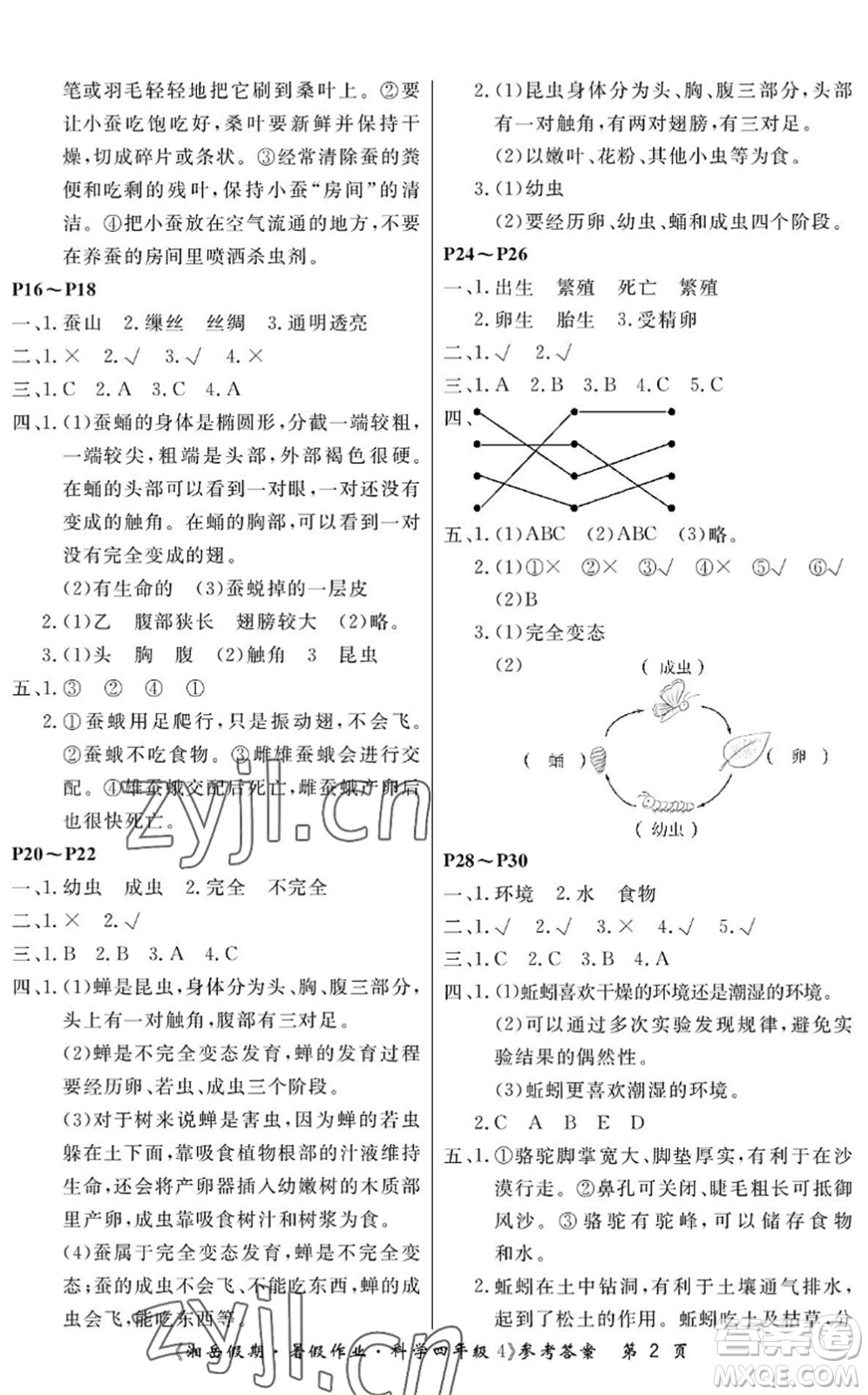 湖南大學(xué)出版社2022湘岳假期暑假作業(yè)四年級科學(xué)湘科版答案