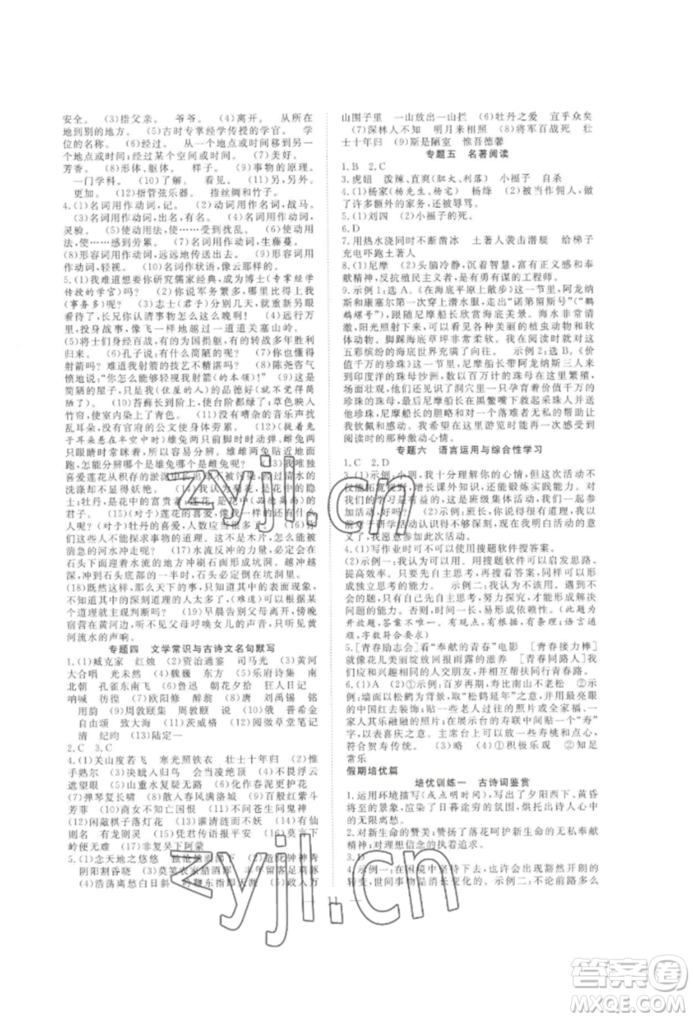 合肥工業(yè)大學(xué)出版社2022假期伴你行暑假復(fù)習(xí)計劃七年級語文通用版參考答案