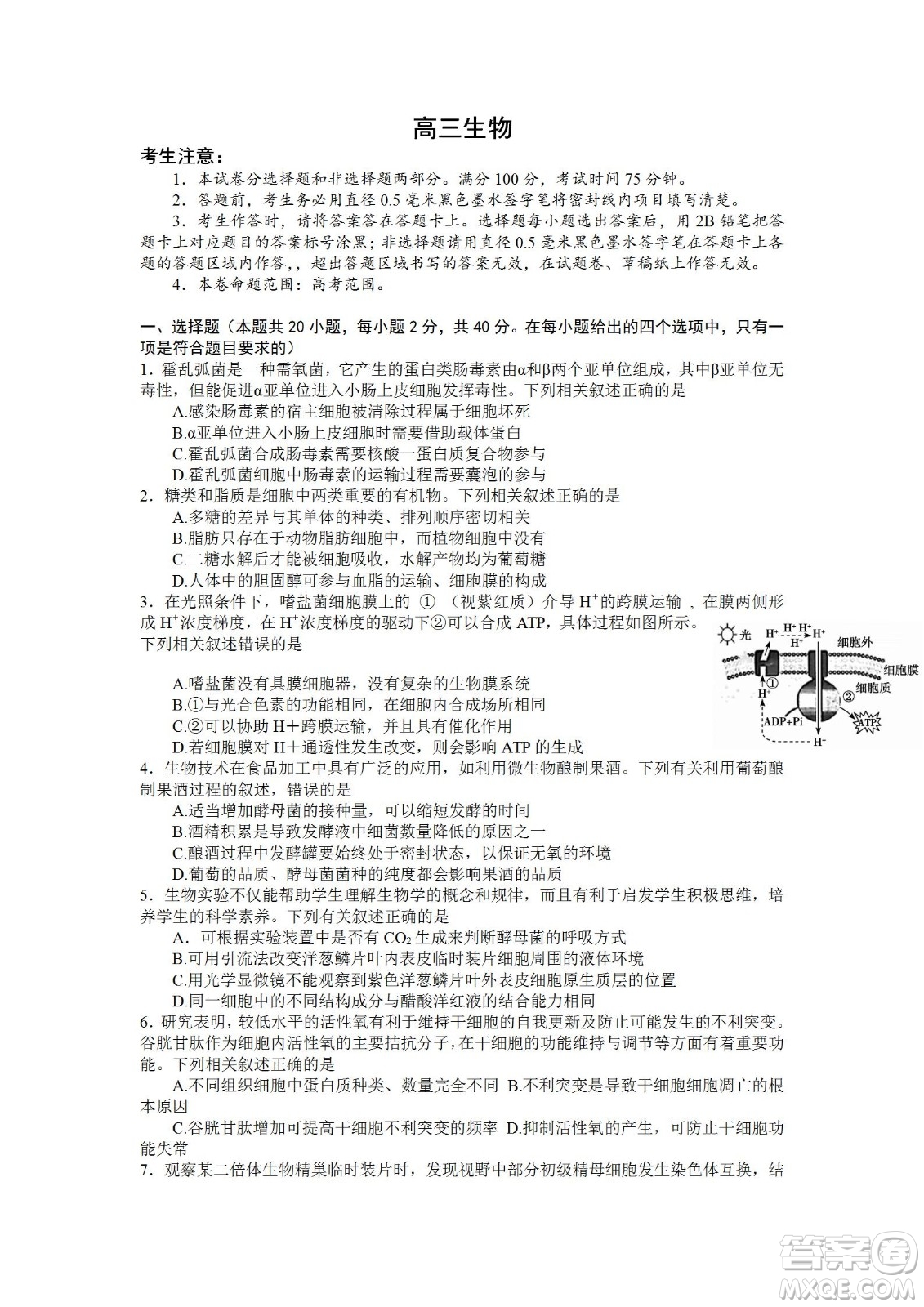 2023屆湖北省九師聯(lián)盟高三新高考摸底聯(lián)考生物試題及答案