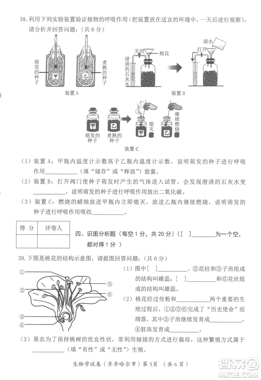 2022年齊齊哈爾市初中學業(yè)考試生物學試卷及答案