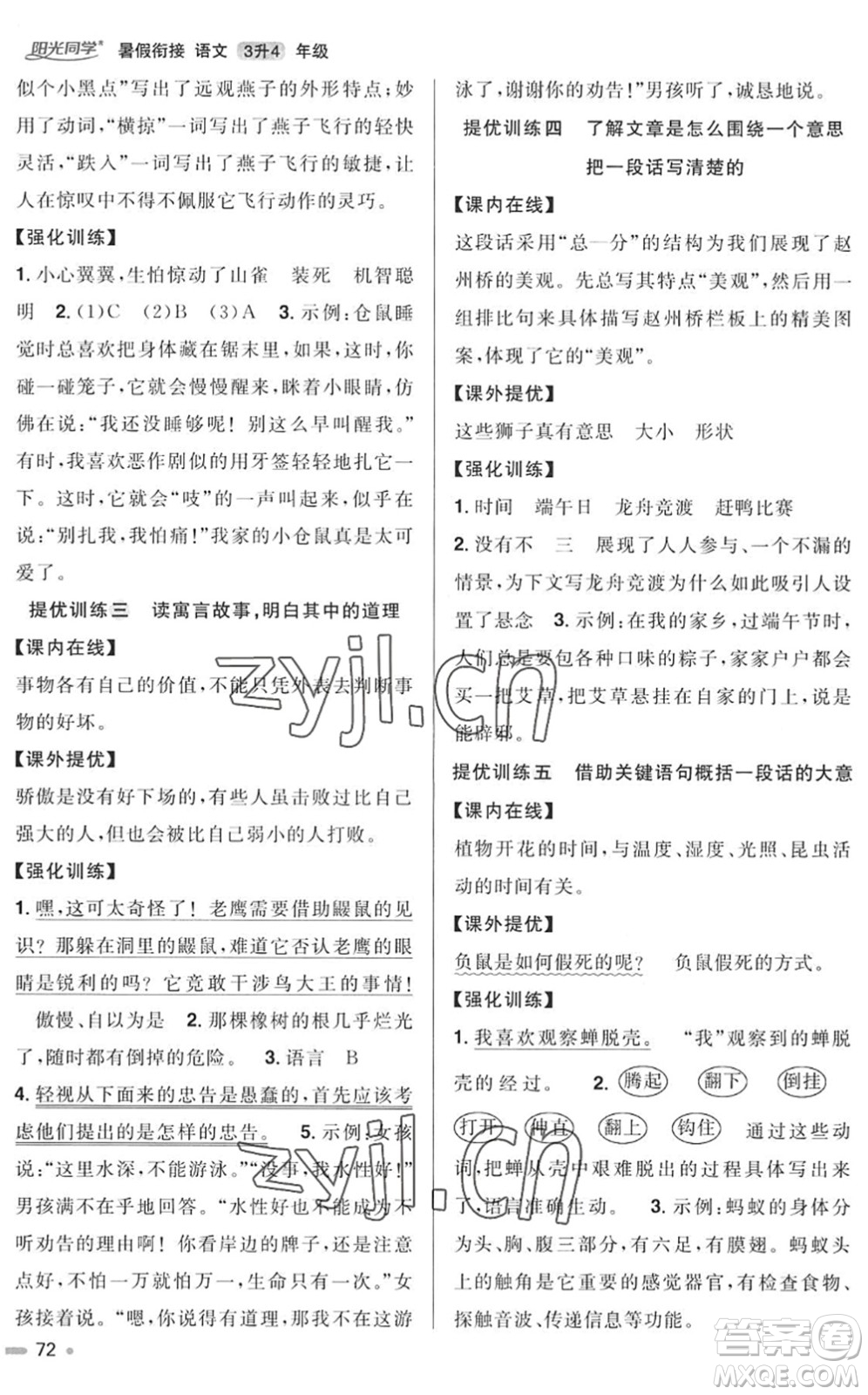 江西教育出版社2022陽光同學(xué)暑假銜接三升四年級語文RJ人教版答案