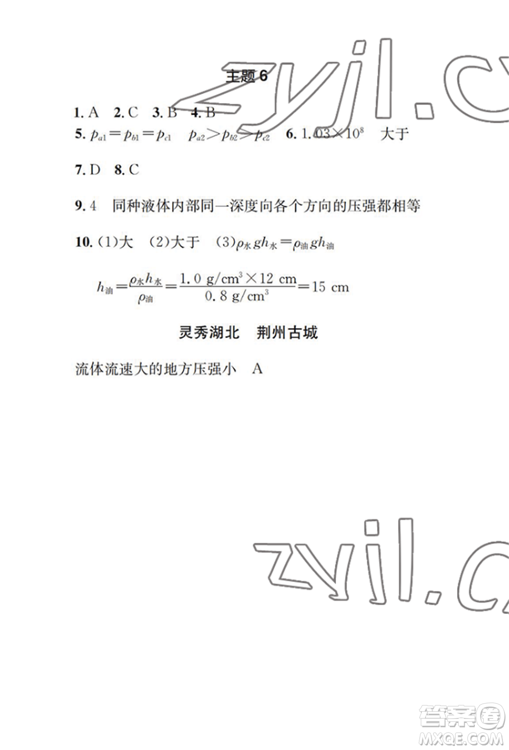 崇文書局2022長江暑假作業(yè)八年級物理人教版參考答案