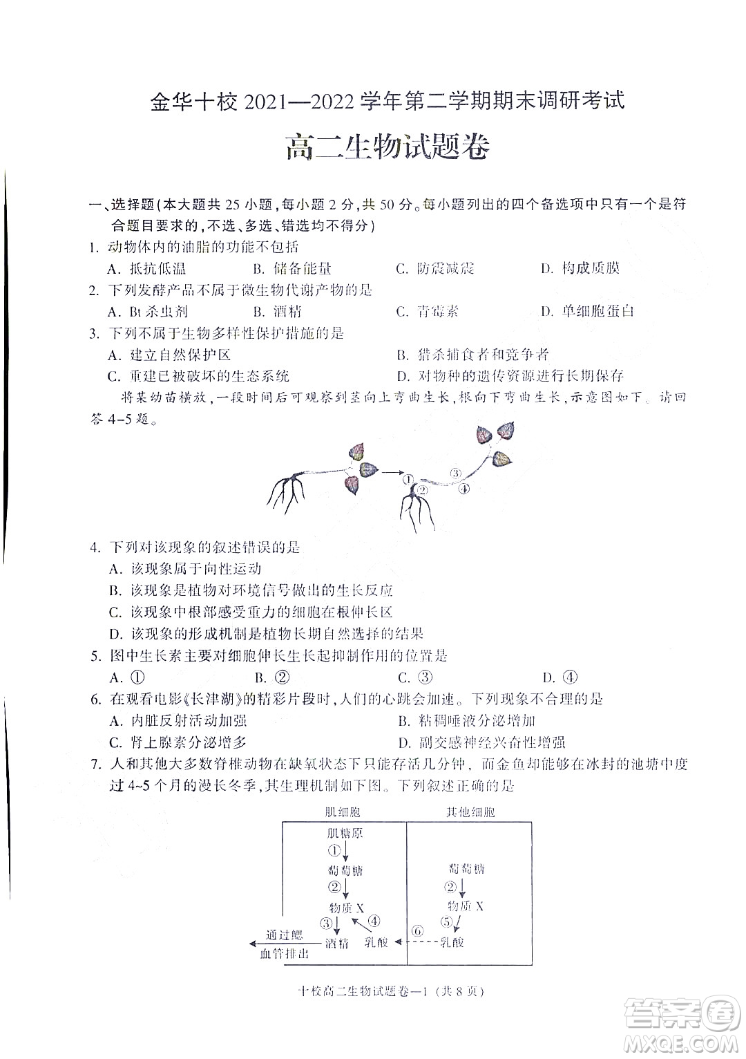 金華十校2021-2022學(xué)年第二學(xué)期期末調(diào)研考試高二生物試題卷及答案