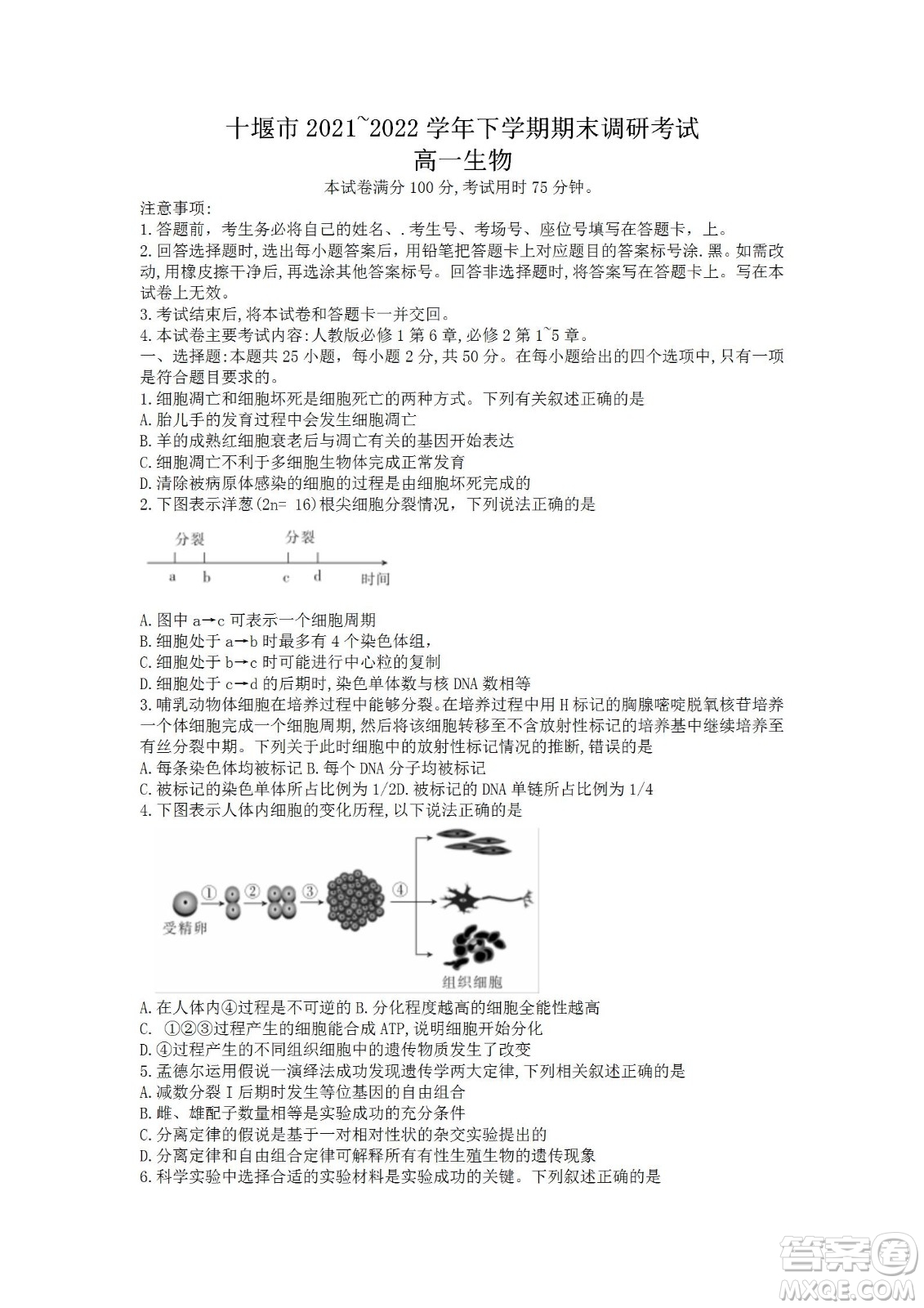 湖北省十堰市2021-2022學年下學期期末調(diào)研考試高一生物試題及答案