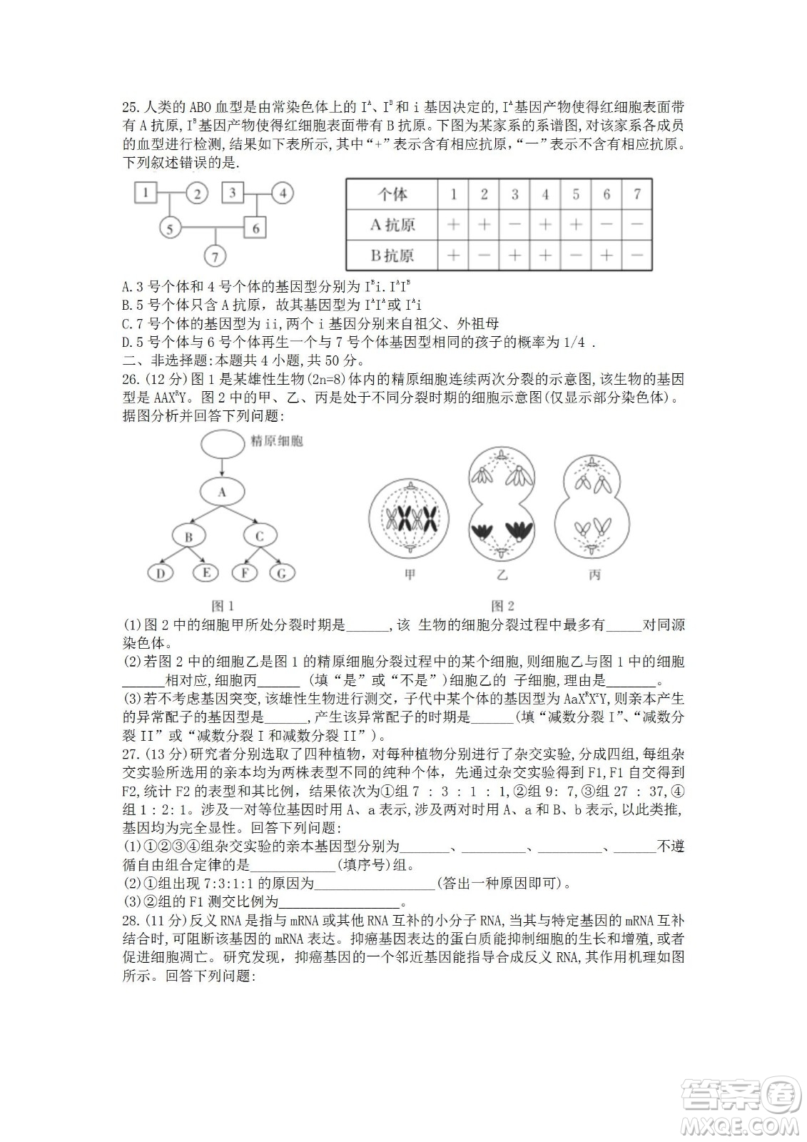 湖北省十堰市2021-2022學年下學期期末調(diào)研考試高一生物試題及答案