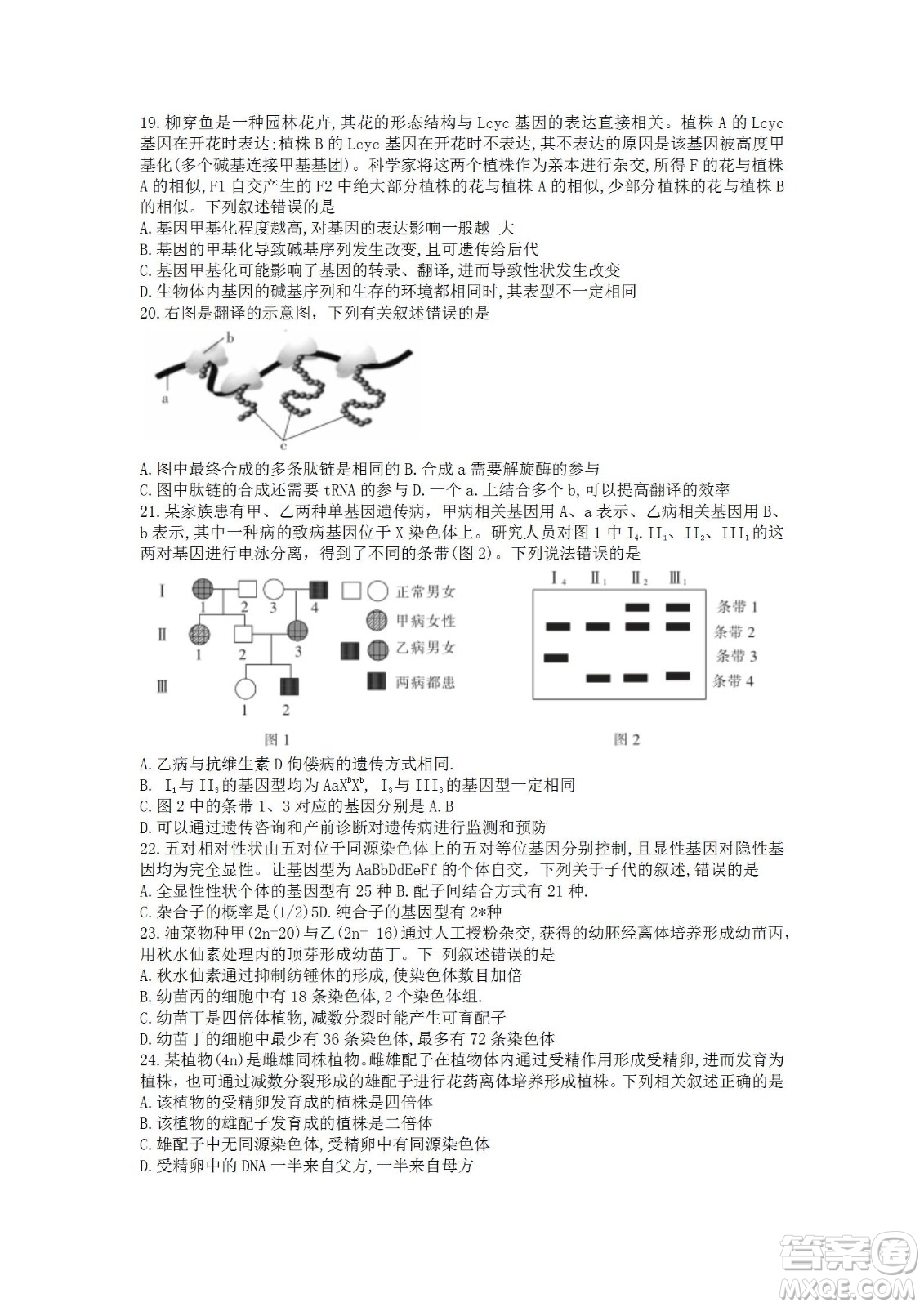 湖北省十堰市2021-2022學年下學期期末調(diào)研考試高一生物試題及答案