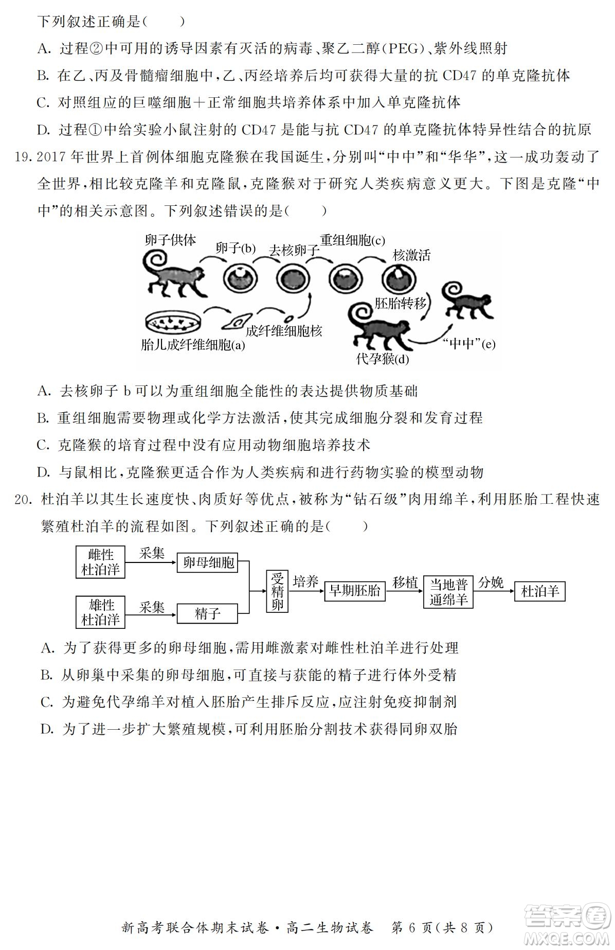 湖北省武漢市2021-2022學(xué)年度第二學(xué)期新高考聯(lián)合體期末試卷高二生物試題及答案