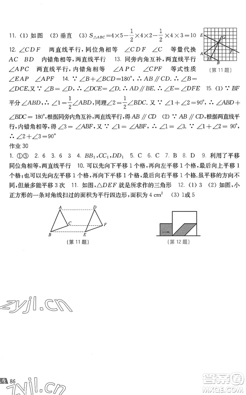 上海科學(xué)技術(shù)出版社2022暑假作業(yè)七年級數(shù)學(xué)滬科版答案