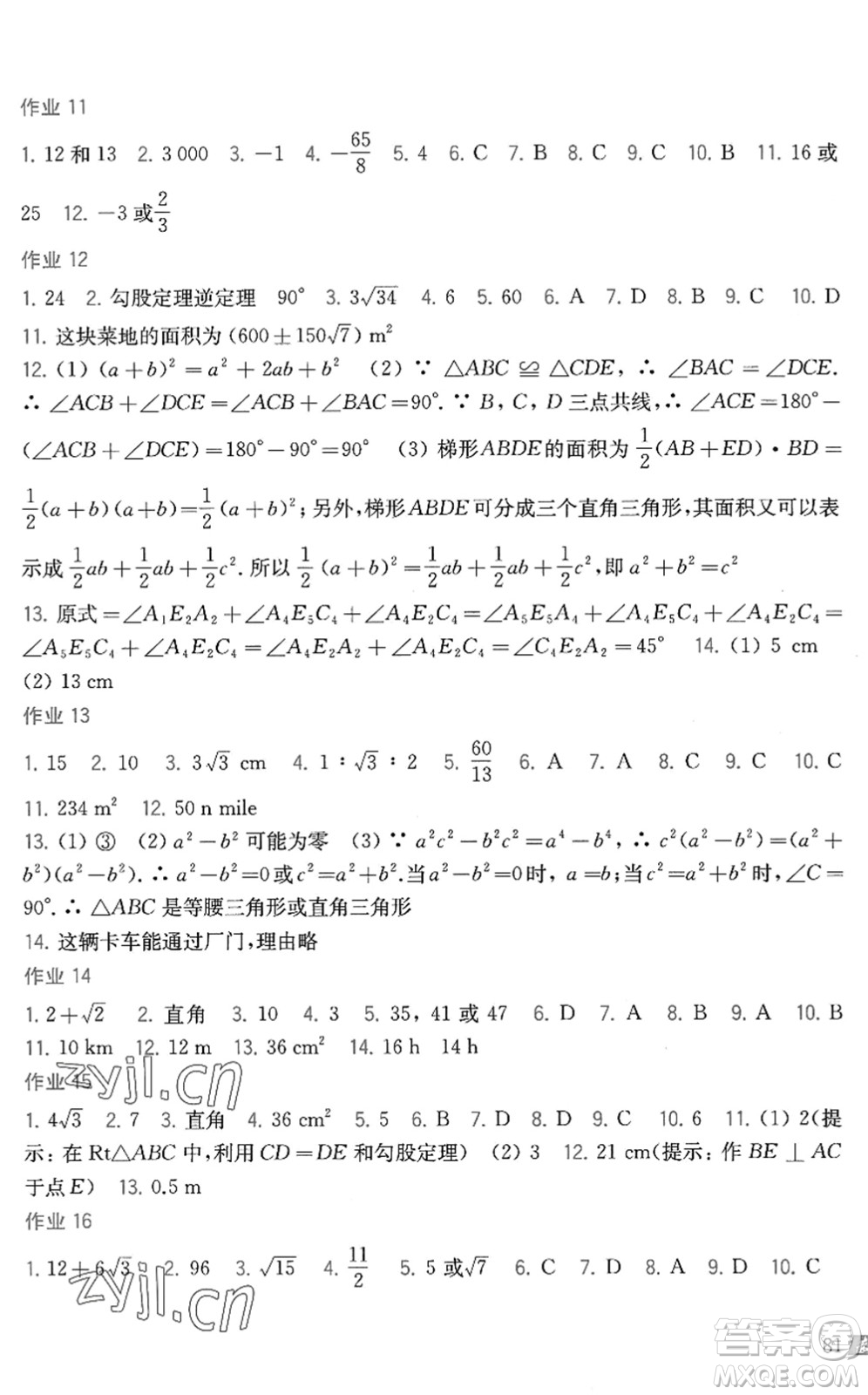 上?？茖W技術出版社2022暑假作業(yè)八年級數學滬科版答案