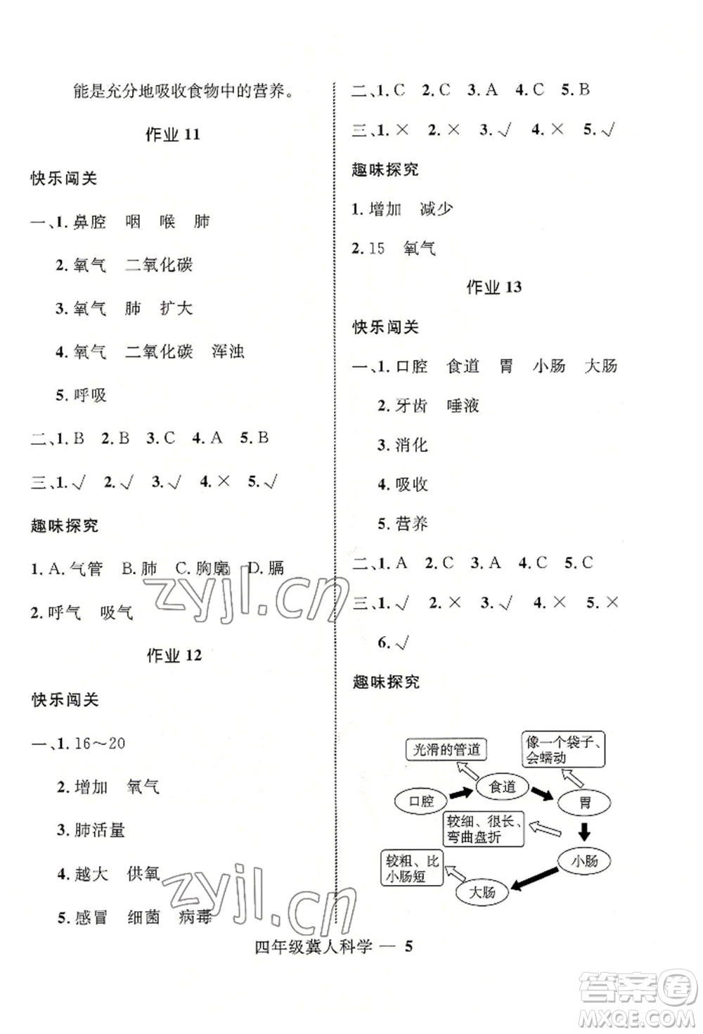 河北少年兒童出版社2022贏在起跑線小學(xué)生快樂(lè)暑假四年級(jí)科學(xué)冀人版參考答案