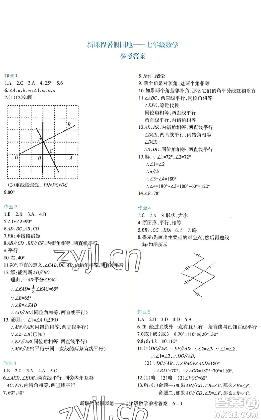 新疆科學技術出版社2022新課程暑假園地七年級數(shù)學通用版答案