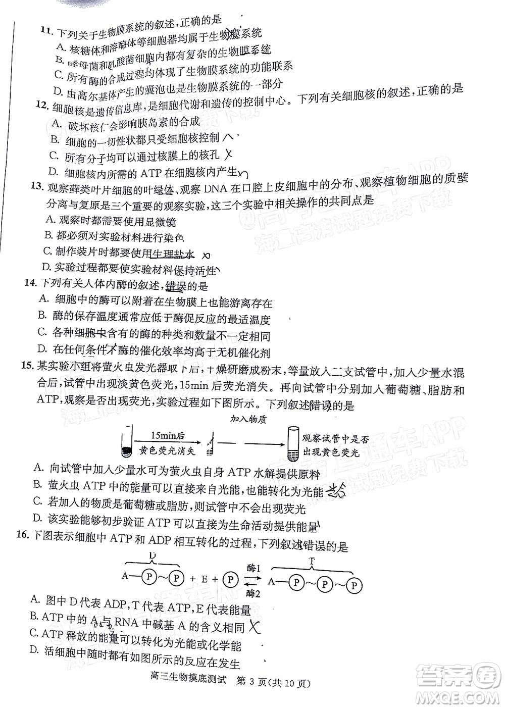 成都市2020級高中畢業(yè)班摸底測試生物試題及答案