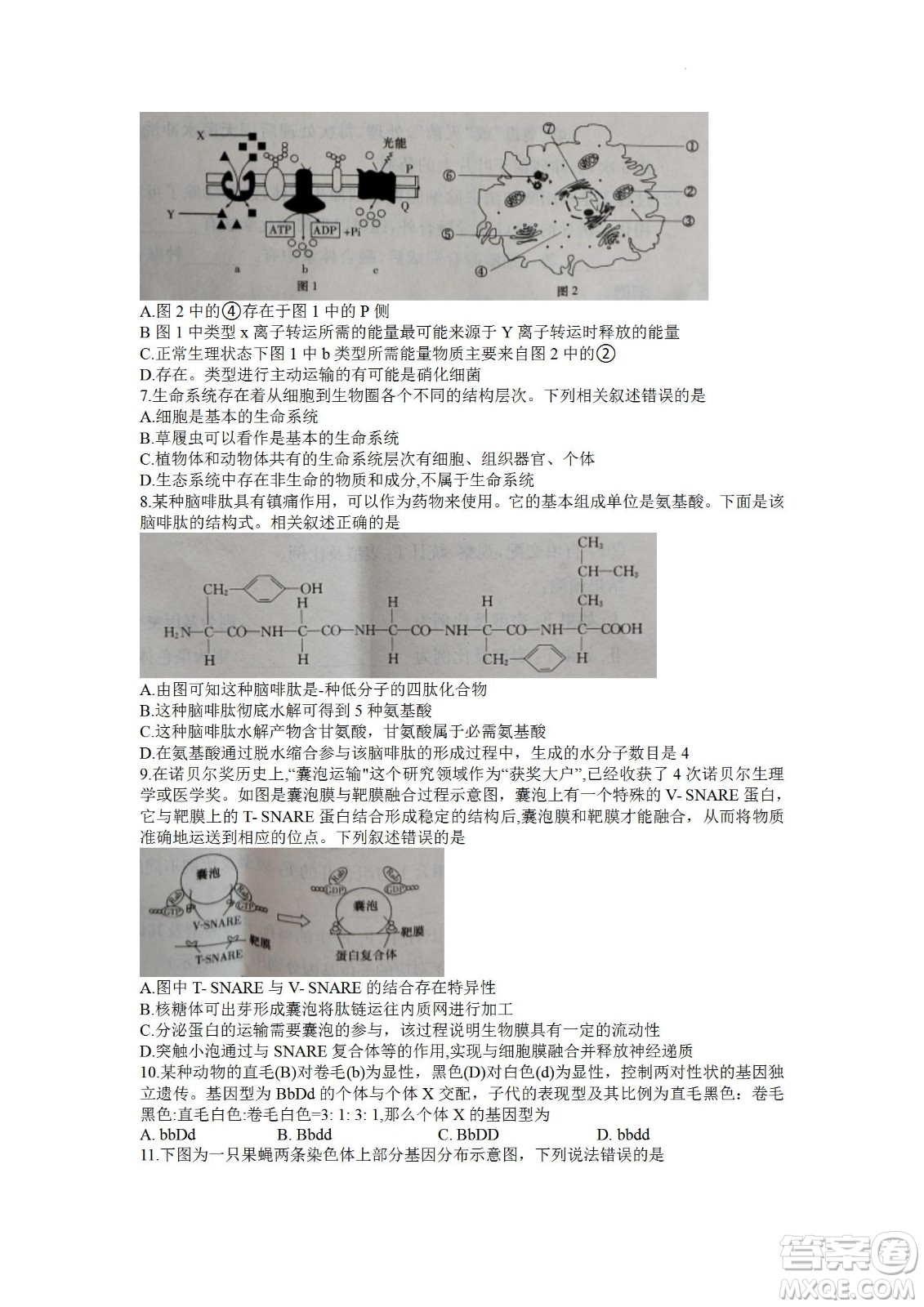 湖南省長郡中學2021-2022學年高二下學期期末考試生物試題及答案