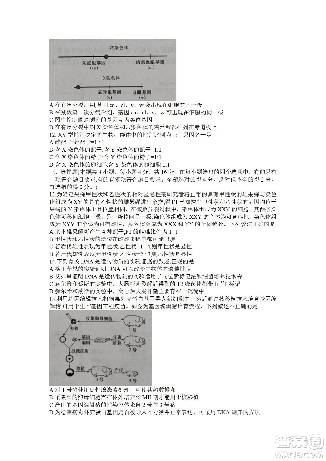 湖南省長郡中學2021-2022學年高二下學期期末考試生物試題及答案