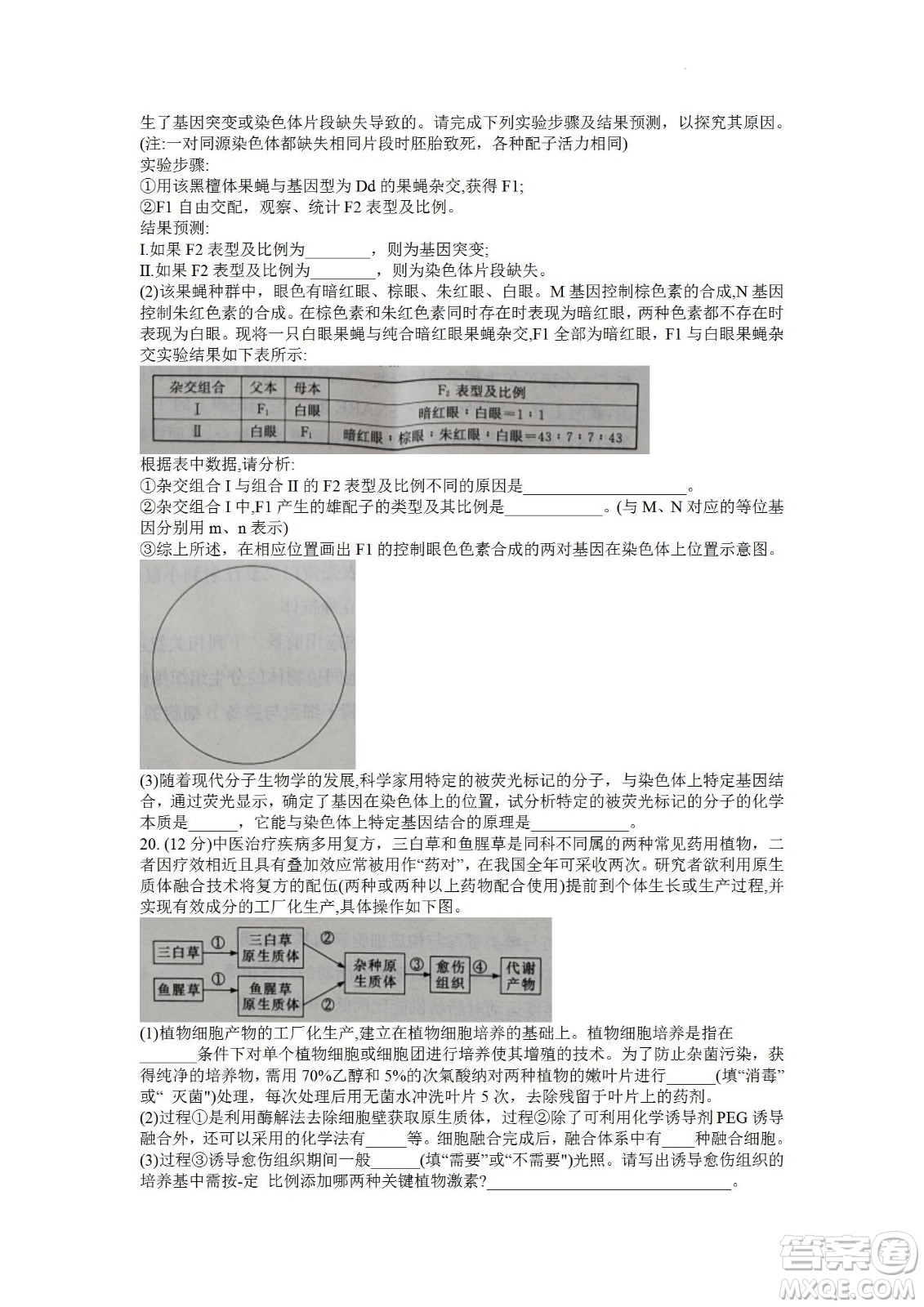 湖南省長郡中學2021-2022學年高二下學期期末考試生物試題及答案