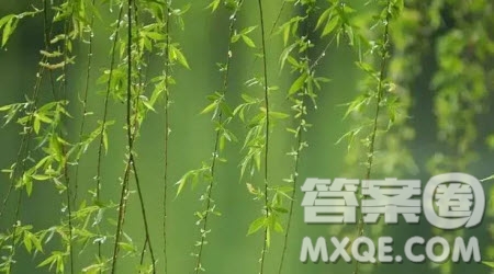 想象動(dòng)植物的夢(mèng)作文400字 關(guān)于動(dòng)植物的夢(mèng)的想象作文400字