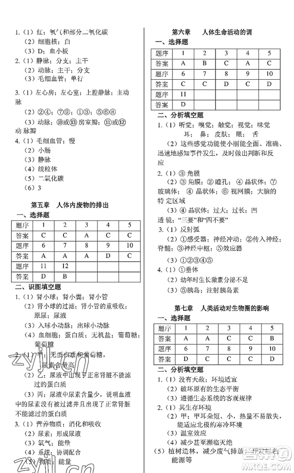 中西書局2022精彩假期暑假篇七年級合訂本通用版答案