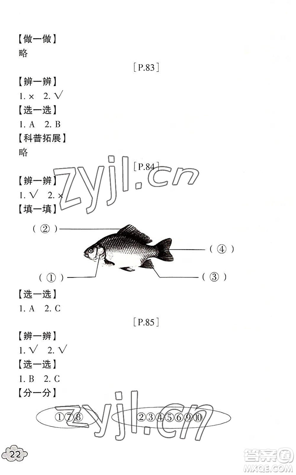 浙江少年兒童出版社2022暑假學(xué)與練一年級(jí)數(shù)學(xué)B北師版科學(xué)J教科版答案